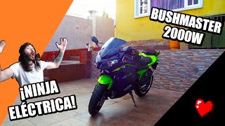 ¡ASÍ ES LA BUSHMASTER Ranger LA MOTO ELÉCTRICA ESTILO NINJA  Análisis  Adlear [upl. by Anya]