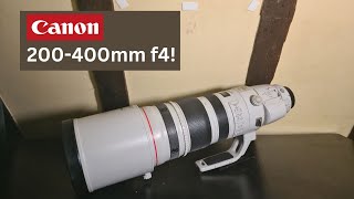 New Lens Day Canon 200 400mm f4 with 14x Convertor [upl. by Seligman499]