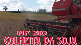 Colheita da Soja MF 310safra 2024 [upl. by Nnalyrehc]