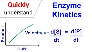 Enzyme kinetics [upl. by Emmet856]