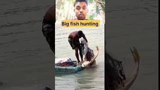 Big fish hunting 😱shorts fish youtubeshorts [upl. by Stilu]