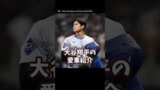 【愛車紹介】大谷翔平編 処刑用BGM 5151 大谷翔平 [upl. by Lraed]