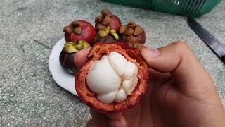 How to peel and eat a mangosteen [upl. by Eelame229]