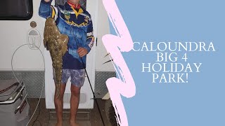 Caloundra big 4 holiday park [upl. by Mourant]