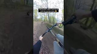 Border Collie amp Cyclist 😮🤯 bordercollie mountainbike dogtraining [upl. by Tooley]