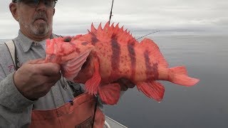 Coos Bay OR Rockfish amp Lingcod Fishing [upl. by Julia]