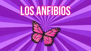 Los Anfibios 🦋  Vídeo Educativo para Niños [upl. by Quartus]