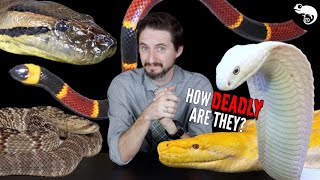 5 Deadly Pet Snakes 10 NonDeadly Alternatives [upl. by Dolphin]