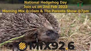 Mix926 National Hedgehog Day 2023  Hornbeam Wood Hedgehog Sanctuary [upl. by Magas596]