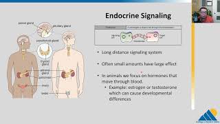 BIOL201 Ch91  Signaling Molecules and Cellular Receptors [upl. by Ruperta]