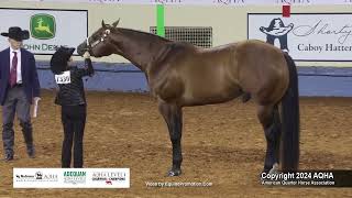 Select Aged Stallions  2024 AQHA World Championship Show [upl. by Auqcinahs]