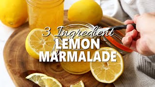 Three Ingredient Lemon Marmalade [upl. by Cassil]