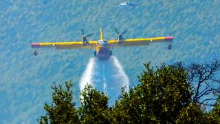 Fire at Corinth Sofiko 17 July 2024  Aerial firefighters  4K [upl. by Manthei86]