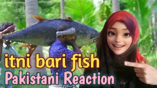 Pakistani Reaction  Indian Fish Recipe [upl. by Enenaj]