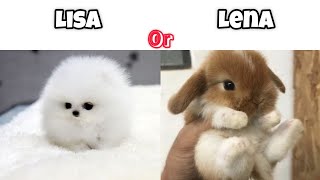 Lisa or Lena animals edition [upl. by Lamar717]