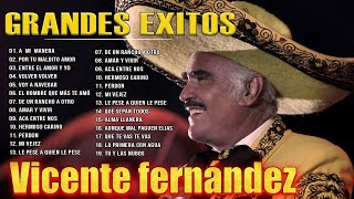 VICENTE FERNÁNDEZ  20 RANCHERAS PERRONAS  VICENTE FERNANDEZ SUS MEJORES EXITOS [upl. by Tema]