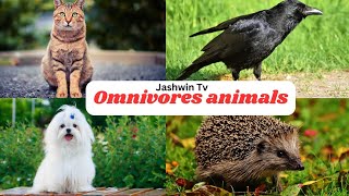 Omnivores Animals  Animals Names for Kids  Educational video [upl. by Sikleb]