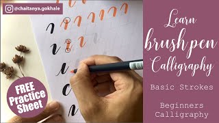 Learn Brush Pen Calligraphy for Beginners  Basic Strokes Tutorial  FREE Printable Practice Sheet [upl. by Redna20]