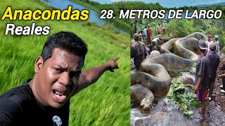 ANACONDA GIGANTE FUE ECONTRADA EN ESTE LAGO MISTERIOSO [upl. by Anidan]