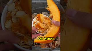 Composting pumpkin guts 🎃 Easy amp simple ways to be waste free amp add nutrients to the soil [upl. by Hamlen]