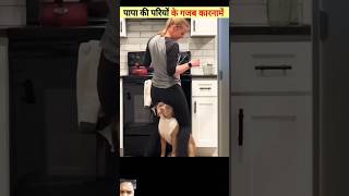 papa ke pariyon ke Gajab Ke karNaame 🙊🙉🙈 funny bakwaslifehacks comedy amazingfacts funnymoment [upl. by Adna]