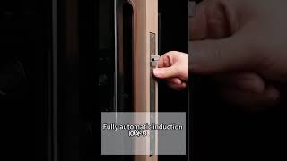 Lenovo smart lock X5Max introduction [upl. by Rodger]