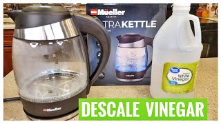 HOW TO DESCALE VINEGAR Mueller Ultra Electric Kettle M99S [upl. by Yaffit70]