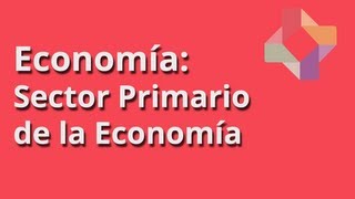 Sector Primario de la Economía [upl. by Eedrahc]