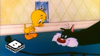 Looney Tunes Classic  Poor Puddytat  Boomerang Official [upl. by Hefter]