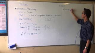 Calculus Notation amp Terminology [upl. by Kennith]