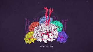 Ronole Jau  Shankuraj Konwar Official Lyric Video [upl. by Ellerud748]