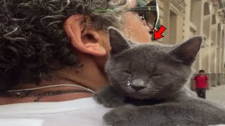 Stray Kitten Chooses a Man And Demands He Be Her Daddy [upl. by Aztirak]