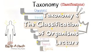 Taxonomy amp The Classification of Living Things  Bio in a flash [upl. by Sinnoda]