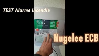 Déclencher lalarme incendie chez moi Nugelec Comme au collège  alarmeincendie nugelec [upl. by Bourn147]