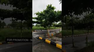 HMDA LAYOUT open plots for sale in hyderabad shankarpally kokapet direct owner [upl. by Dang737]