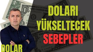 DOLAR FAİZ MERKEZBANKASI KRİZ USD EURO GBP 18112024 [upl. by Lertsek985]