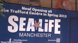 Sea Life Manchester Construction Update  January 2013 [upl. by Heyward]