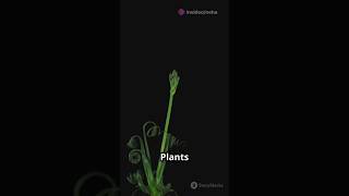 Plant TissueLearn with OP Studies learner science knowledge technology [upl. by Trstram]