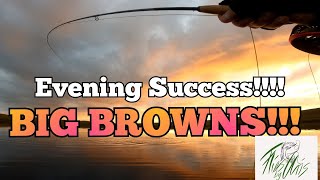 Night Time FLY FISHING for BROWN TROUT 23rd July flyfishing fishing browntrout trout [upl. by Volpe146]