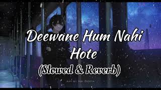 Mix  Deewane hum nahi hote lofi song 💔  deewane ham nahin hote lofi sad song  new lofi sad song [upl. by Arramat245]