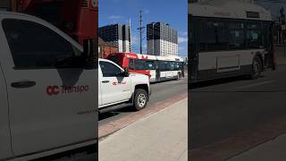 OC Transpo 4504 at Elmvale [upl. by Magas]