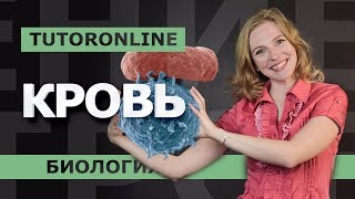 КРОВЬ ЕГЭ по биологии  TutorOnline  Биология [upl. by Ahcurb]