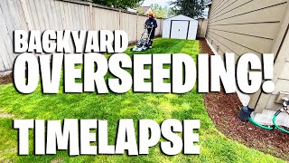 Overseeding Timelapse  Process  Backyard Overseed for the spring [upl. by Sewellyn452]