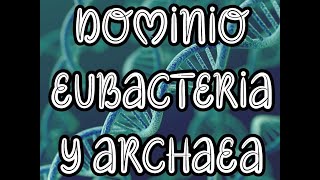 DOMINIOS EUBACTERIA Y ARCHAEA  Biología Profe Germán [upl. by Edithe667]