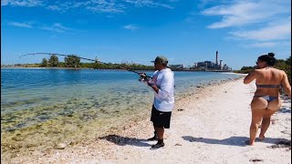 Public Beach Fishing Whatever Bites [upl. by Ynehpets]