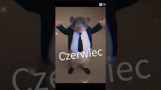 Ja szczurek w kąpieli 🫠😊🐭 [upl. by Orlene]