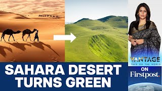 Sahara Turns Green Should we Celebrate or Worry  Vantage with Palki Sharma [upl. by Mullins]