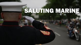 The Saluting Marine [upl. by Mahda652]