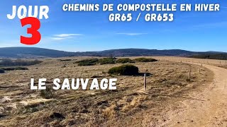 Le Sauvage sur les Chemins de Compostelle en hiver [upl. by Bozovich]