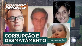 Família ligada ao maior desmatador da Amazônia usa dinheiro público para destruir floresta e lucrar [upl. by Nylrac]